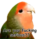 Կպչուն պիտակ