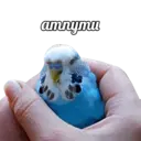 Կպչուն պիտակ