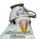 Կպչուն պիտակ