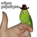 Կպչուն պիտակ