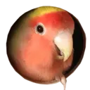 Կպչուն պիտակ