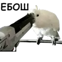 Կպչուն պիտակ