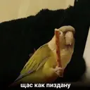 Налепница