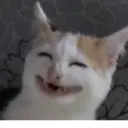 Samolepka