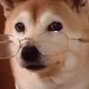 Samolepka
