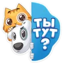 Stiker