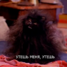 Stika