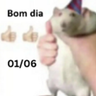 Figurinha