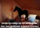 Կպչուն պիտակ