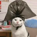 اسٹیکر