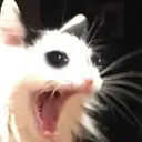 اسٹیکر
