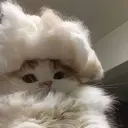 اسٹیکر