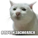 Կպչուն պիտակ