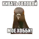 Կպչուն պիտակ