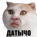 Կպչուն պիտակ
