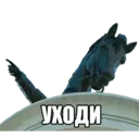 Կպչուն պիտակ