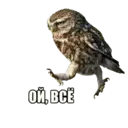 Կպչուն պիտակ