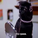 Stika