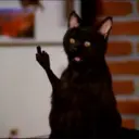 Stika