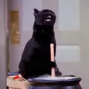 Stika