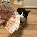 Стикер