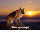 Stiker