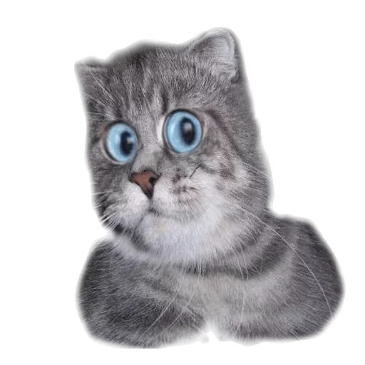 Налепница