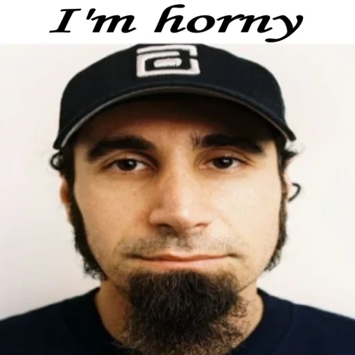 ਸਟਿਕਰ