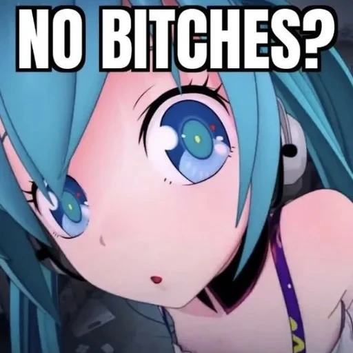 贴纸