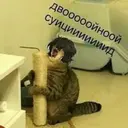 Çıkartma