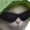 สติกเกอร์