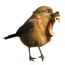Стикер