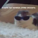 Límmiði