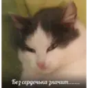Límmiði