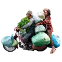 Стикер