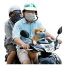 Стикер