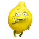 Samolepka