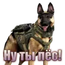 Стикер
