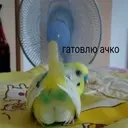 สติกเกอร์