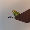 สติกเกอร์