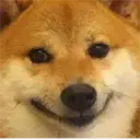 Samolepka