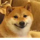 Samolepka