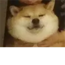 Samolepka