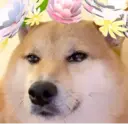 Samolepka