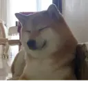 Samolepka
