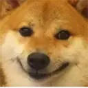 Samolepka