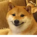 Samolepka
