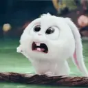 สติกเกอร์