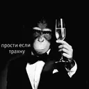 Samolepka