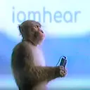 Samolepka